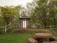 img (2)